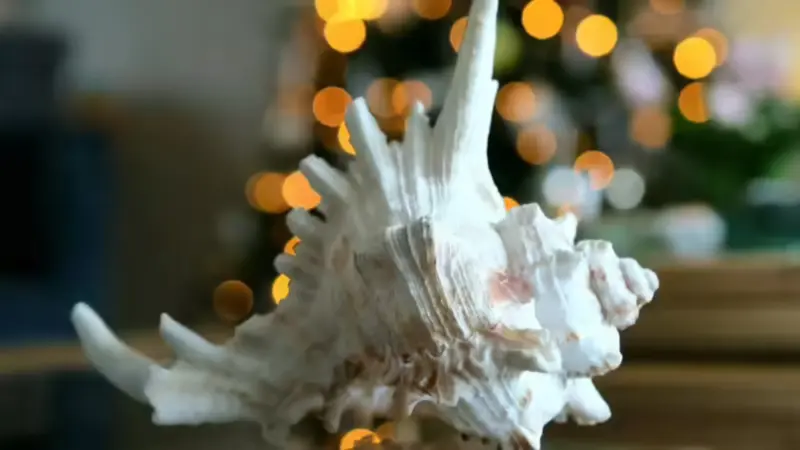 Vastu Tips for Shankh: Know the Correct Direction to Place a Conch Shell in Your Home Temple