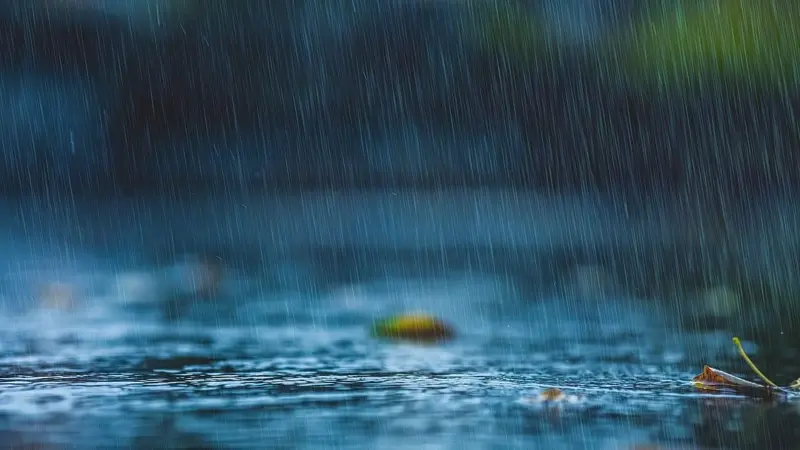 Rain forecast brings hope amid uncertainty
