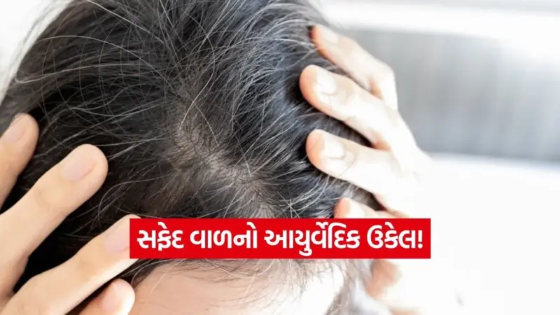 સફેદ વાળ ફરી થશે કુદરતી કાળા! આયુર્વેદના આ 'અચૂક' ઉપાયો જાણી લો!