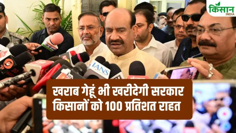 राजस्थान के किसानों के लिए बड़ी राहत. MSP गेहूं खरीद में देरी खत्म, जानें कैसे मिलेगा 100 फीसदी खरीद का फायदा!