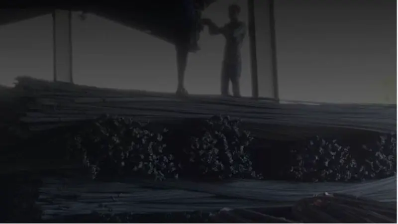 VMS TMT IPO day 1: GMP, subscription status, review, other details. Apply or not?