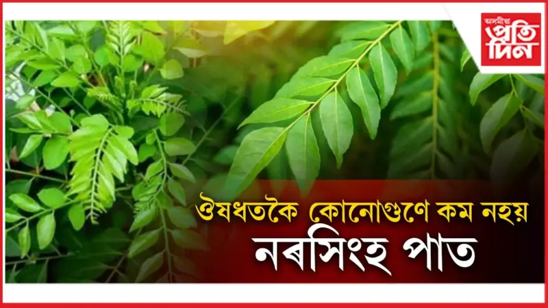 ৰাতিপুৱা উঠিয়েই খাব নৰসিংহ পাত