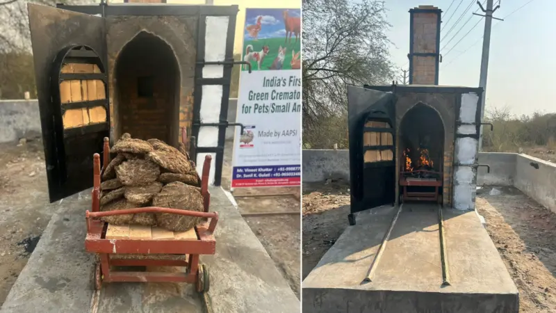 Faridabad unveils India's 1st green crematorium for pets, sets eco-friendly benchmark