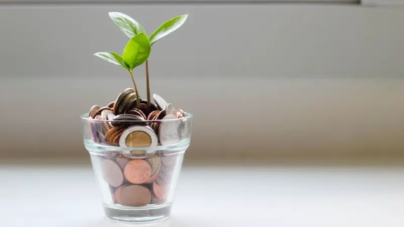 Bank FD vs SCSS: Which investment gives better returns over 5 years?