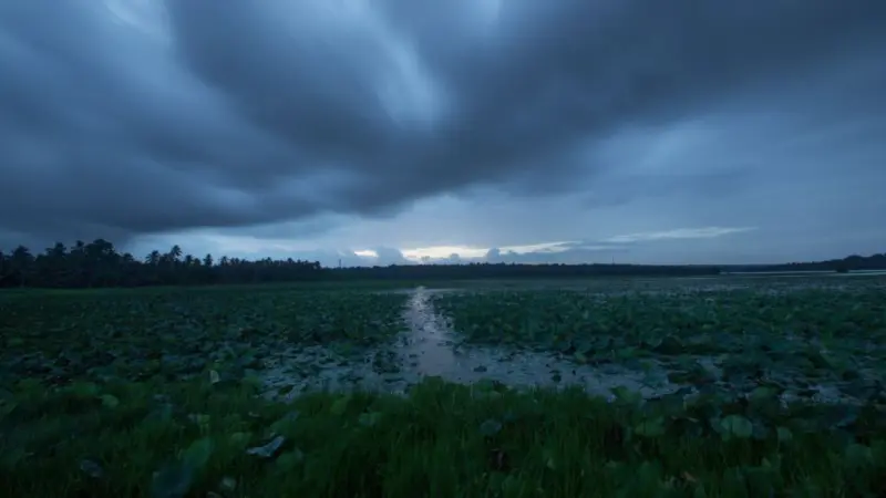 खरीफ सीजन से पहले बड़ा अलर्ट! El Nino की आहट पर सरकार सतर्क, किसानों के लिए इमरजेंसी सुरक्षा प्लान तैयार