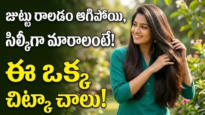 Hair Care:జుట్టు రాలటం ఆగిపోయి సిల్కీగా మారాలంటే.. ఈ ఒక్క చిట్కా చాలు..