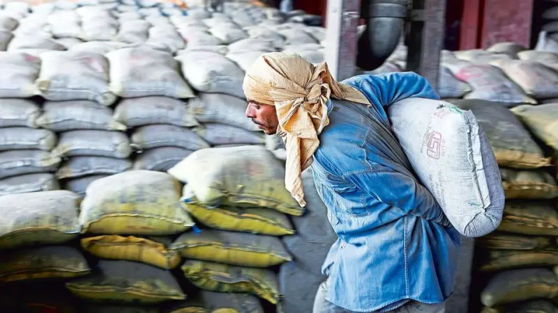 Can Shree Cement, Ambuja's capex breather allay sector's overcapacity concerns?