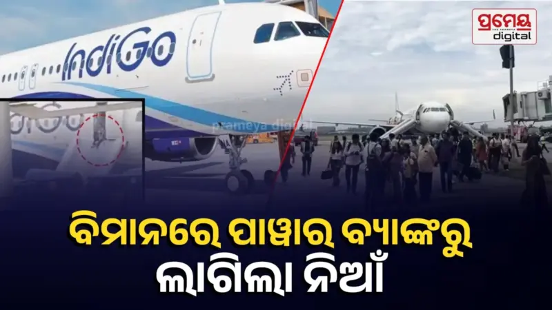 ହାଇଦ୍ରାବାଦରୁ ଚଣ୍ଡିଗଡ଼ ଯାଉଥିବା ଇଣ୍ଡିଗୋ ବିମାନରେ ପାୱାର ବ୍ୟାଙ୍କରୁ ଲାଗିଲା ନିଆଁ, ଏମର୍ଜେନ୍ସି ଏକଜିଟରେ ବାହାରିଲେ ଯାତ୍ରୀ