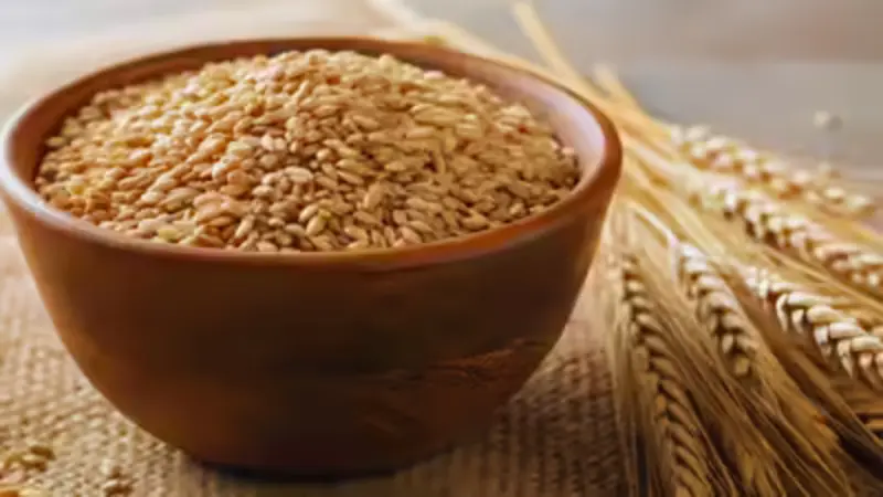 Top 3 Wheat-Producing States in India That Dominate National Output