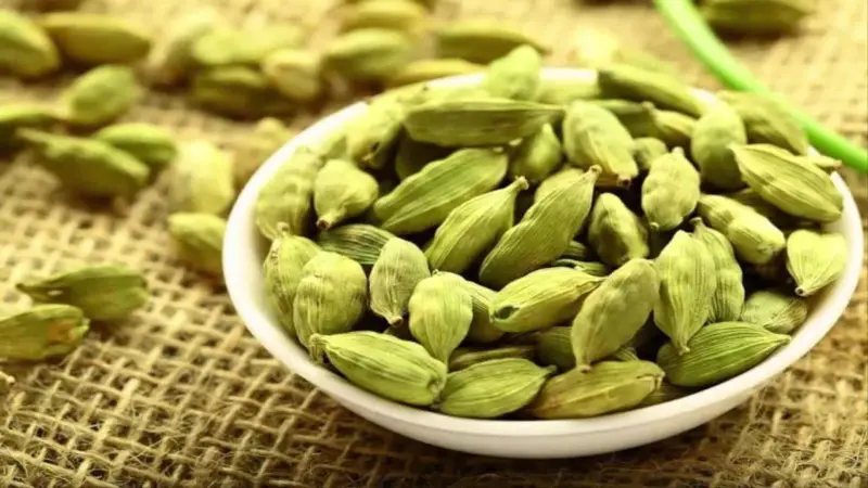 क्या आप भी करते हैं जरूरत से ज्यादा छोटी इलायची का सेवन? यहां पढ़ लें, इसके नुकसान