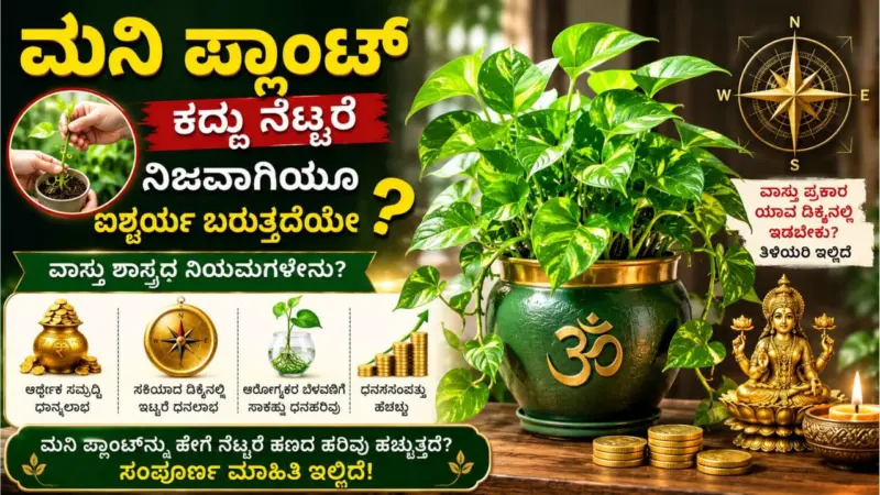 Vasthu Shastra: ಮನಿ ಪ್ಲಾಂಟ್ ಕದ್ದು ತಂದು ನೆಟ್ಟರೆ ಧನ ಸಂಪತ್ತು ಹೆಚ್ಚುತ್ತಾ? ಇಲ್ಲಿದೆ ವಾಸ್ತು ರಹಸ್ಯ!