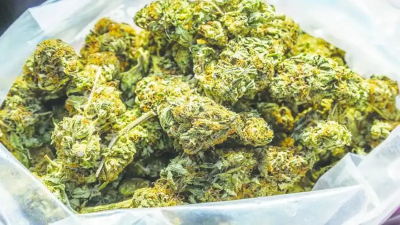 శంషాబాద్ విమానాశ్రయంలో థాయ్ లాండ్ మహిళ అరెస్టు