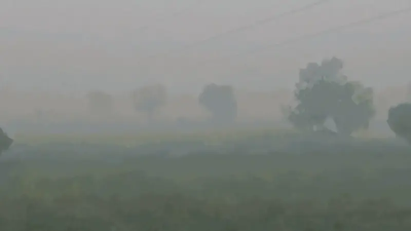 Rajasthan Weather Alert: राजस्थान के इन 17 जिलों में आंधी, तेज बारिश का अलर्ट जारी
