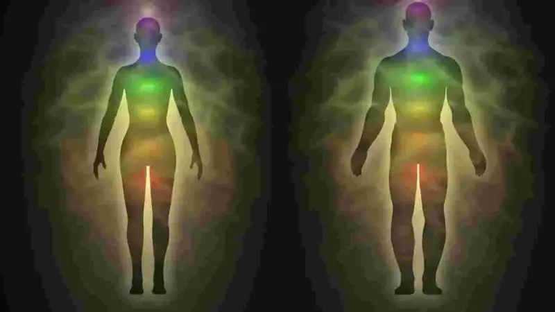 Metabolism Mistakes: ఈ పొరపాట్లు చేస్తున్నారా.. జీవక్రియలు నెమ్మదిస్తాయి జాగ్రత్త