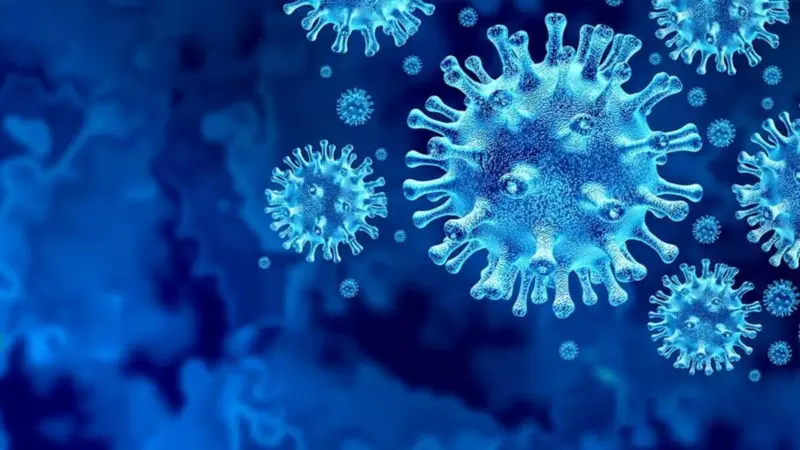 Suspected outbreak of rare hantavirus on cruise ship in Atlantic Ocean kills 3 people