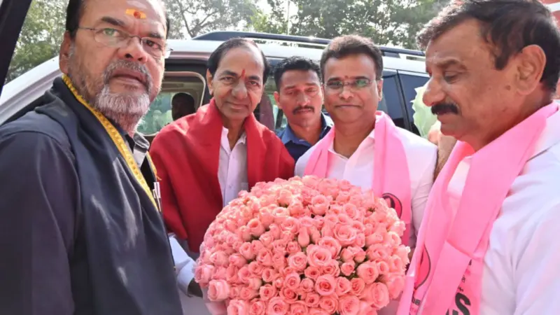 KCR Signs, Leaves Assembly, No Fireworks