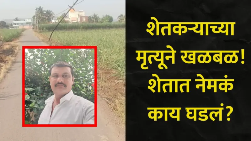 Pune News: पुण्यातील शेतकऱ्यांच्या जीव धोक्यात? महावितरणचा अनागोंदी कारभार, शेतातच झाला एका शेतकऱ्याचा मृत्यू