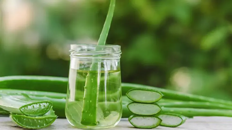 Ditch the Chemicals! DIY Aloe Vera Sunscreen for Naturally Glowing Skin
