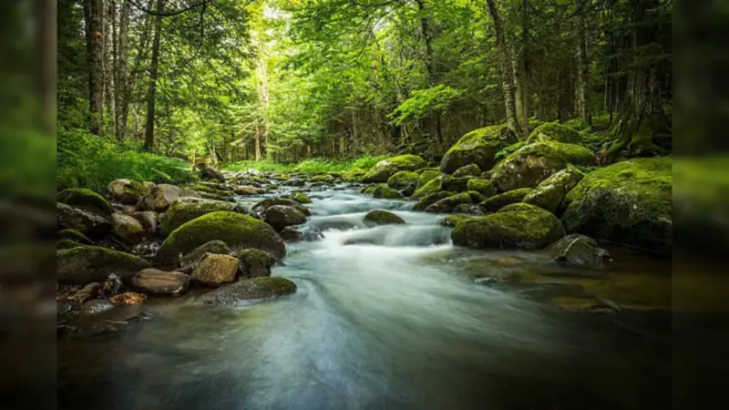 Can Rivers Really Flow Backwards? 6 Surprising Examples and Why They Do