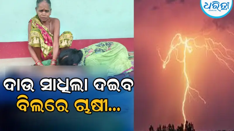 ବିଲକୁ ଖତ ନେଇ ଯାଇଥିଲେ ଚାଷୀ, ହଠାତ୍‌ ମାରିଲା ବିଜୁଳି-ଘଡ଼ଘଡ଼ି, ଆଉ ତା' ପରେ...