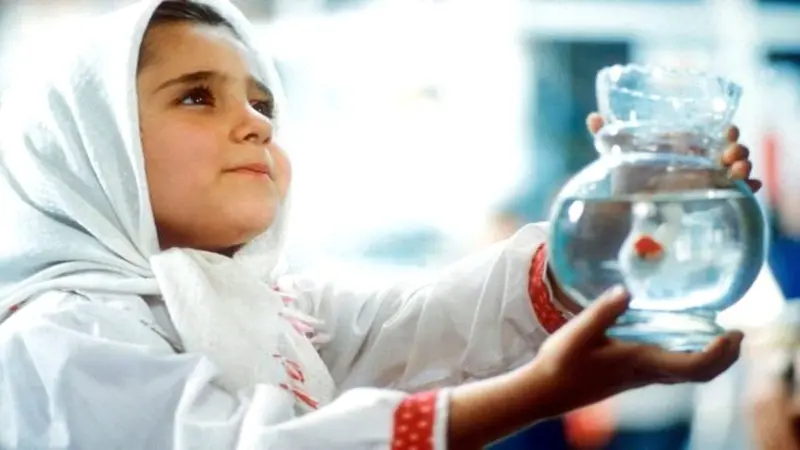 10 Iranian Films You Should Watch On OTT