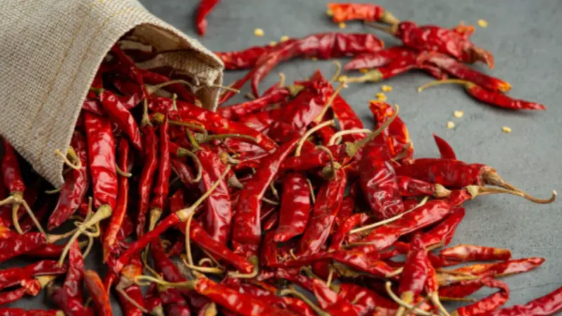 Which City Holds the Title of Chilli Capital of India?