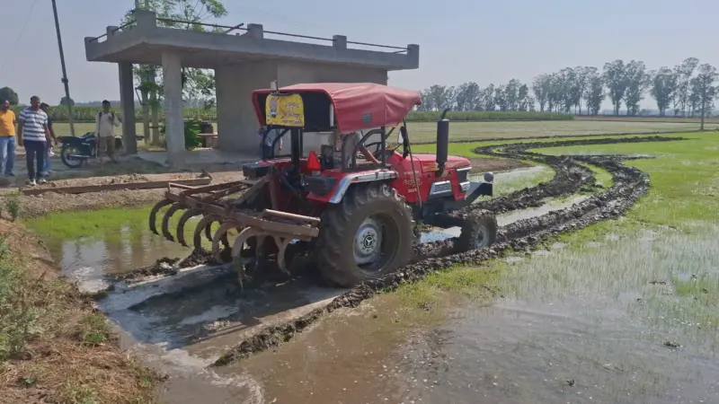 Early sown paddy destroyed in Haryana's Karnal