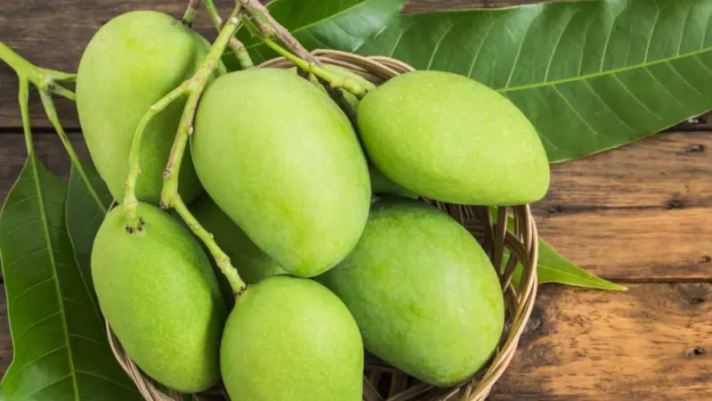 రా మామిడి తింటున్నారా?.. ఈ బెనిఫిట్స్ తెలుసా!