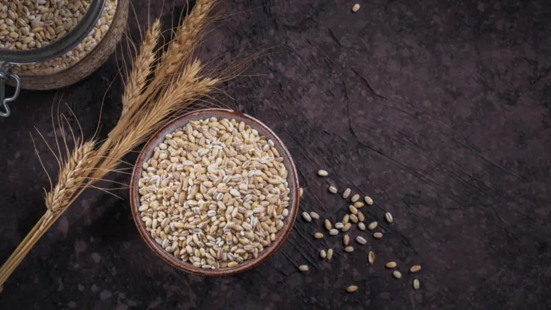 Global Barley Production: Which Country Grows The Most Barley