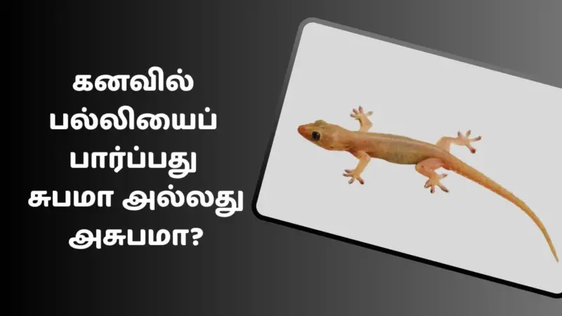 கனவில் பல்லி பார்த்தால் என்ன பலன் கிடைக்கும்?- ஸ்வப்ன சாஸ்திர விளக்கம்