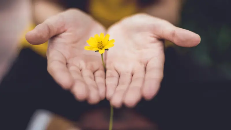 ದಯೆ ಒಳ್ಳೆಯದು, ಆದರೆ ಮಿತಿ ಅಗತ್ಯ: ಚಾಣಕ್ಯರ ನೋಟ.!