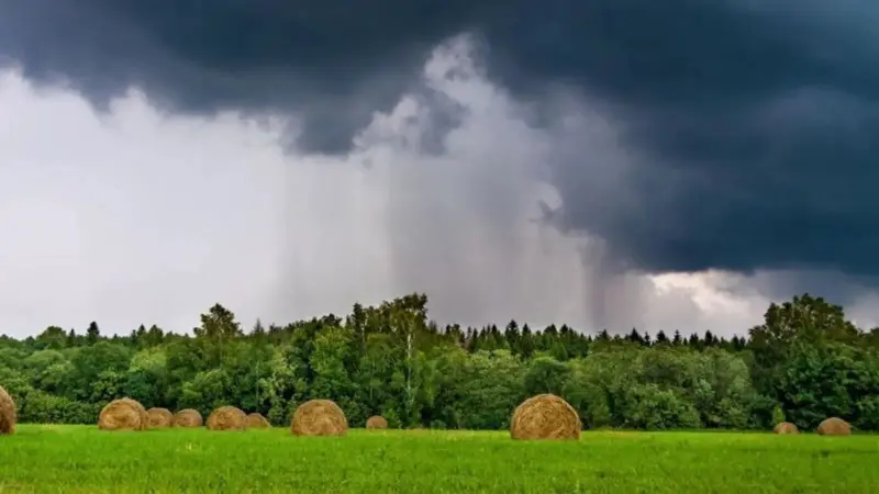 ఏపీపై ఉపరితల ఆవర్తనం, ద్రోణి ప్రభావం.. ఈ జిల్లాల్లో వర్షాలు, వాతావరణశాఖ హెచ్చరిక