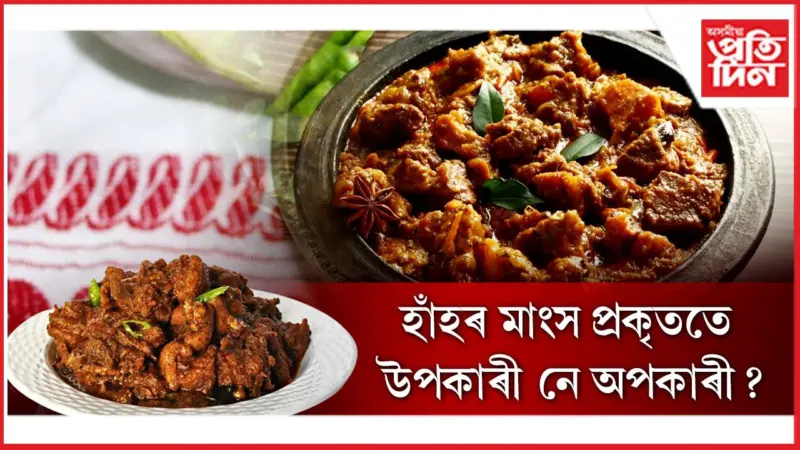 কি ৰোগত হাঁহৰ মাংসই ঔষধৰ কাম কৰে জানি লওক