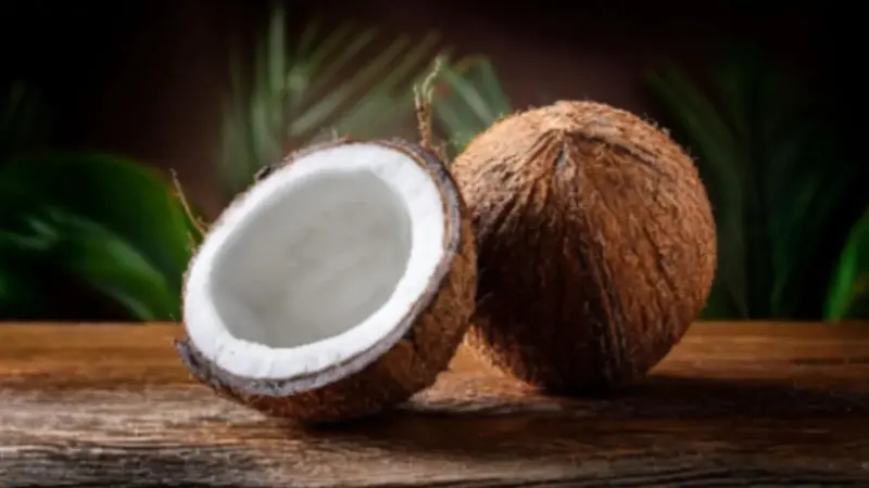 Why Copra Is Not Allowed in Flights: Full List of Banned Items & Airline Baggage Rules Explained