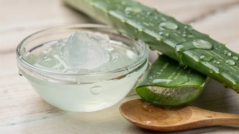Why Neem and Aloe Vera Should Be in Your Skincare Routine