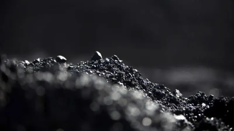 CMPDI IPO: Here's how much Coal India's subsidiary raised from LIC, other anchor investors