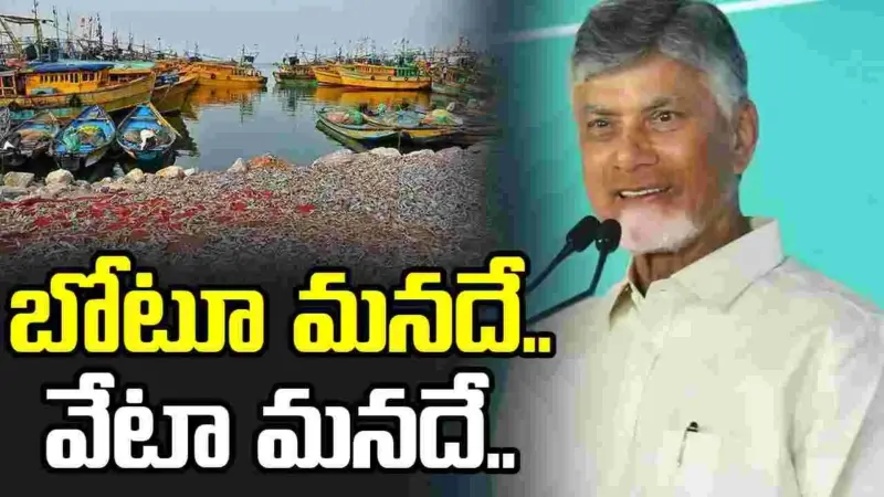 మత్స్యకారులకు అండగా ప్రభుత్వం: సీఎం చంద్రబాబు
