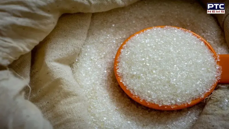 India bans sugar export till September 2026 to cool domestic prices amid supply concerns