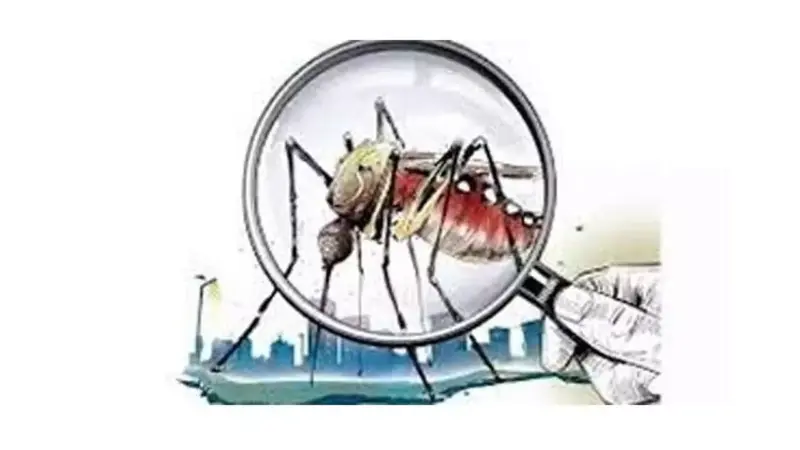 Civic bodies fail to swat mosquito menace in Hyd