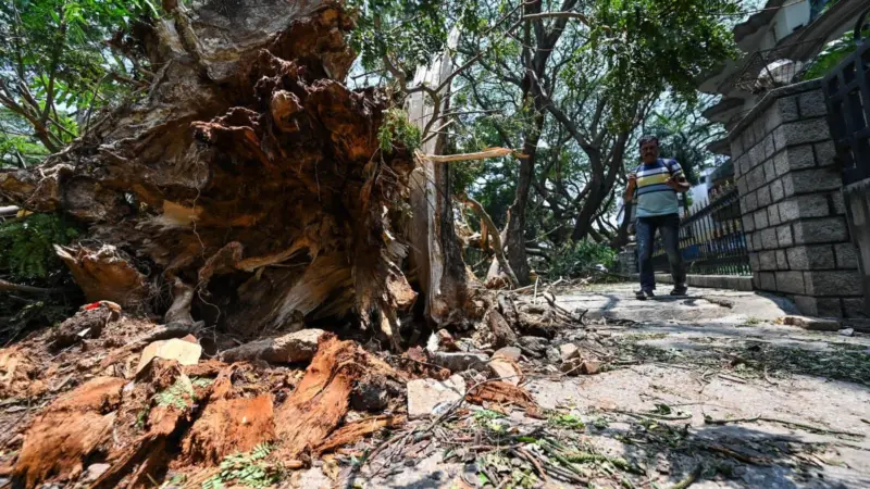 Corporation chiefs visit rain-hit areas across Bengaluru