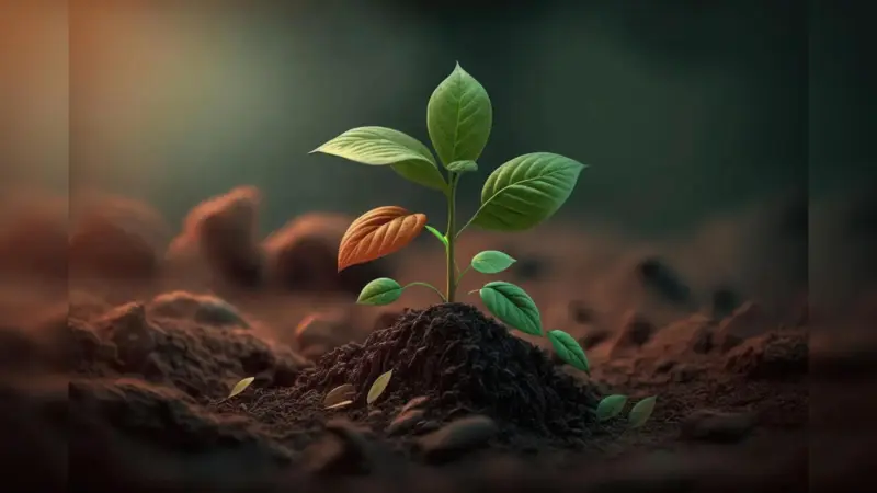 Holes in Plant Leaves? Here's What Your Garden Is Trying to Tell You