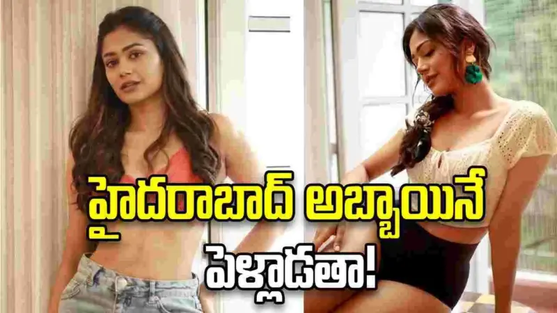 తెలుగబ్బాయినే పెళ్లి చేసుకుంటా: పాయల్