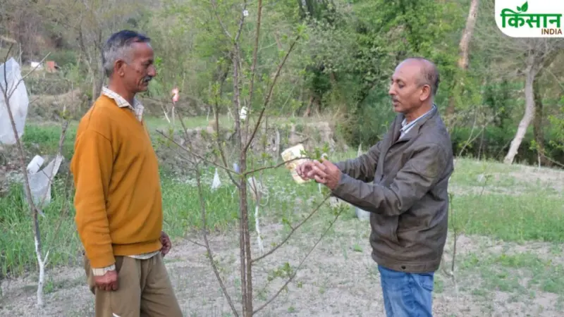 नाबार्ड की मदद से 167 गांवों के किसानों की सुधरी हालत, 400 तालाब और टैंक बनाकर जल संकट दूर कर रहे