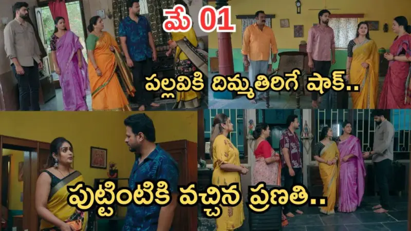 Intinti Ramayanam Today Episode: కన్నీళ్లు పెట్టుకున్న అవని.. పల్లవి ఫుల్ హ్యాపీ..పుట్టింటికి వెళ్లిపోయిన ప్రణతి..