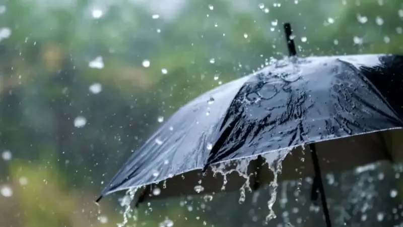 Rain Dreams: உங்கள் கனவில் மழையை கண்டால் என்ன அர்த்தம் தெரியுமா..?