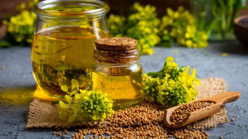 Mustard Oil: ఆవ నూనెతో ఆయుర్వేద ఉపాయం.. నొప్పులు అవుతాయి మటు మాయం