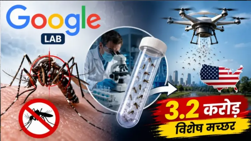 Google Mosquito Experiment: मच्छरों को मारने के लिए गूगल खुद मैदान में उतारेगा 3.2 करोड़ विशेष मच्छर, जानिए अनोखा प्रयोग