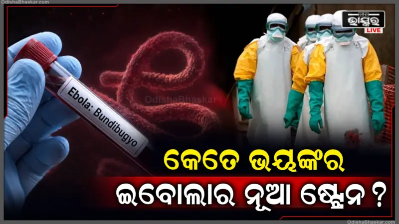 କେତେ ଭୟଙ୍କର ଇବୋଲାର ନୂଆ ଷ୍ଟ୍ରେନ୍, ଏପର୍ଯ୍ୟନ୍ତ ୯୦୦ରୁ ଅଧିକ ଆକ୍ରାନ୍ତ; ୨୨୩ ଜଣଙ୍କ ମୃତ୍ୟୁ