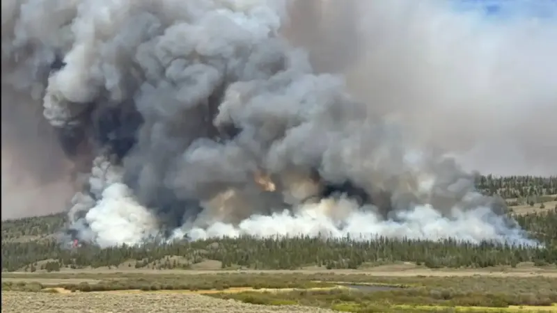 Controlled Burns in Northern Utah Aim to Restore Wildlife Habitat