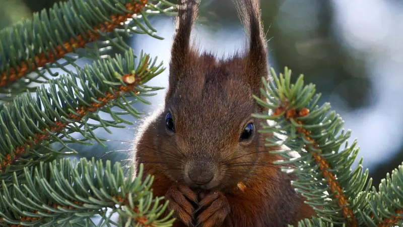 News in Pics | April 2, 2026: Best photos from around the world